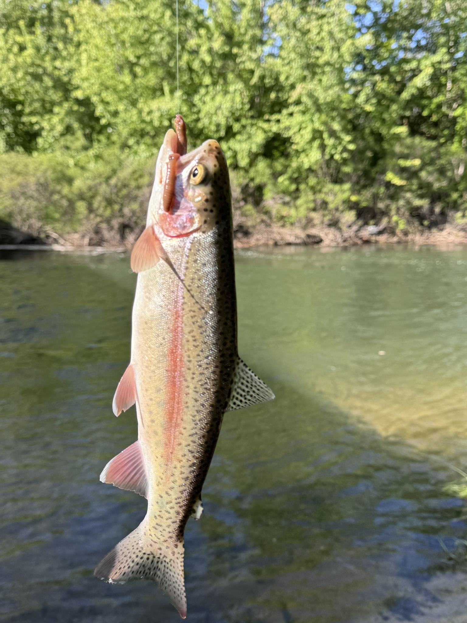 Idaho Offgrid Adventures